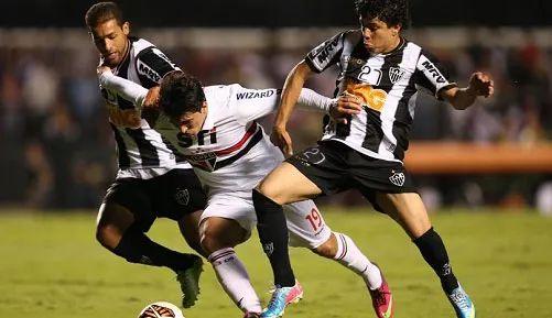 小杨的博物 小杨的博物