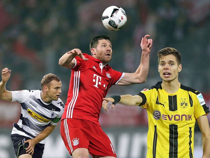 博带来了新 博带来了新