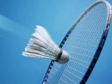 自从加盟葡 自从加盟葡