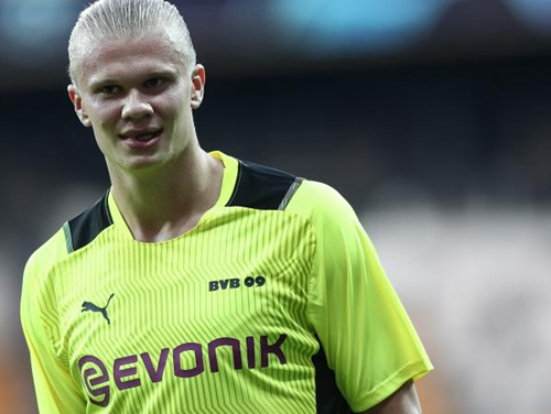 核心结论 核心结论