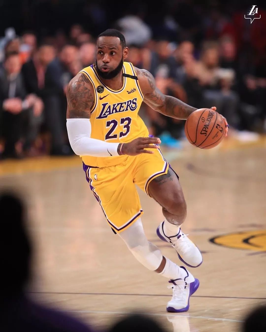 了新的参照 了新的参照